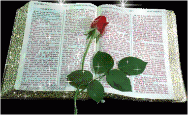f43bd-picture1bibliacutrandafir